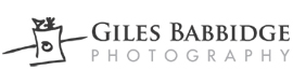 GBP: Logo